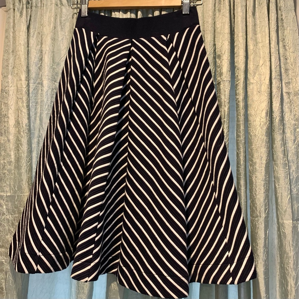 Beautiful Philosophy Navy Blue and White Stripe Skirt